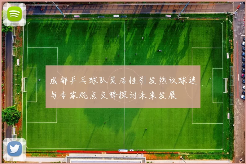 成都乒乓球队灵活性引发热议球迷与专家观点交锋探讨未来发展