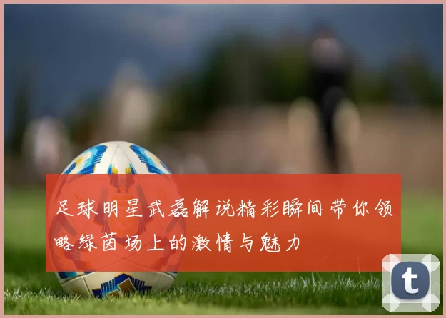 足球明星武磊解说精彩瞬间带你领略绿茵场上的激情与魅力