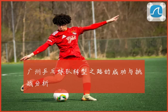 广州乒乓球队转型之路的成功与挑战分析