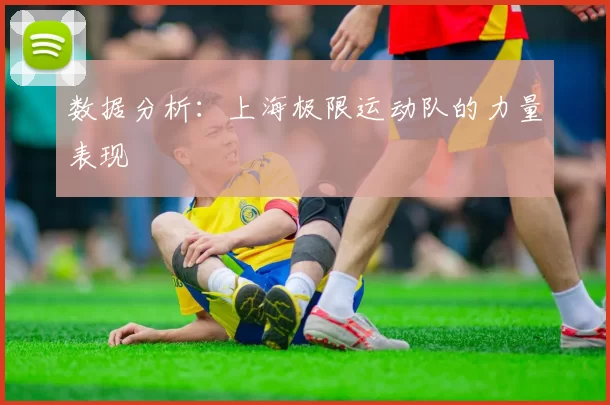 数据分析：上海极限运动队的力量表现