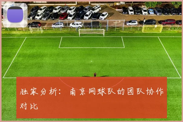独家分析：南京网球队的团队协作对比